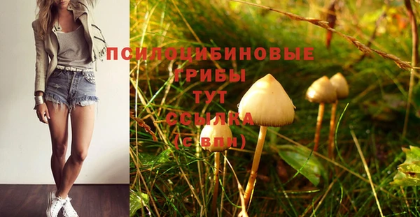 дживик Новокубанск